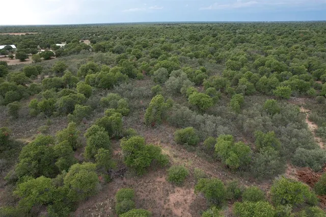 a view of a forest with a street