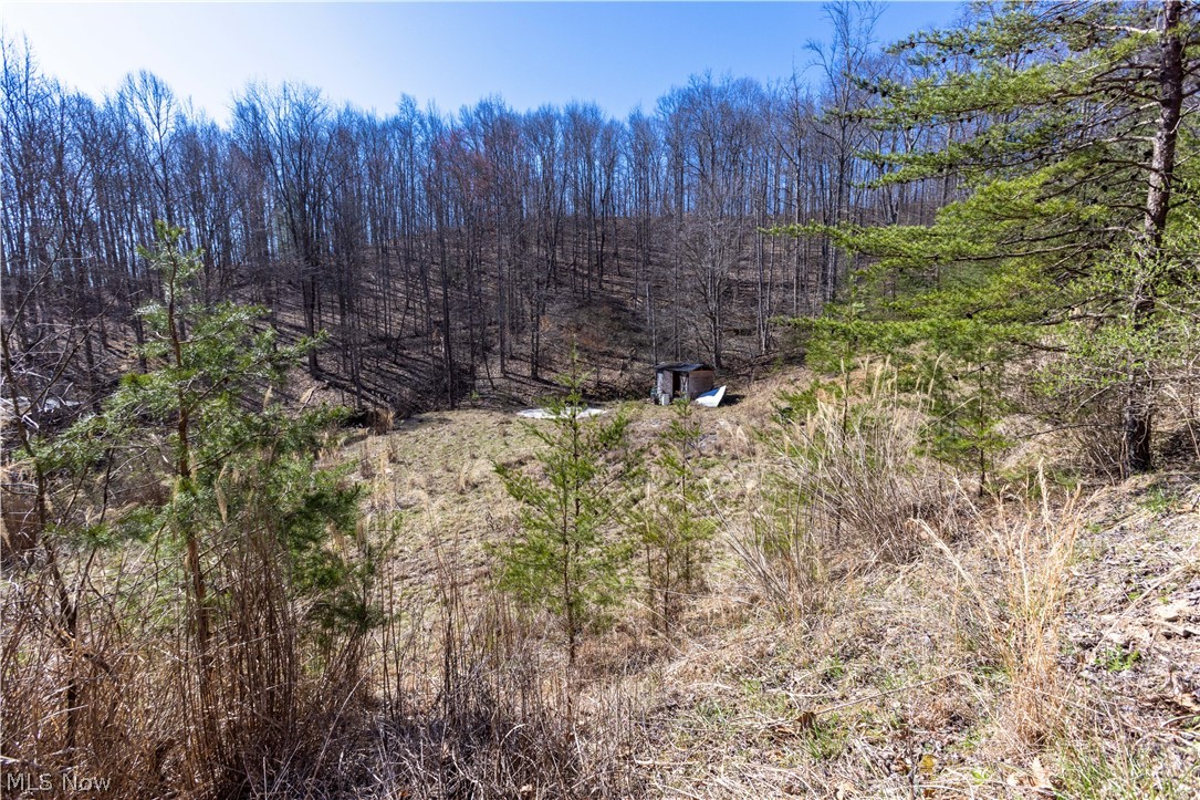 979 Reed Fork Procious, WV 25164 - Photo 13 of 35