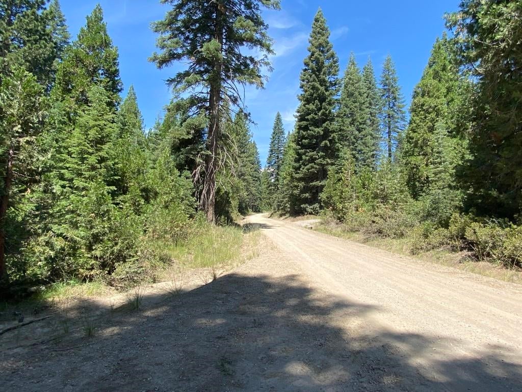 3-e-44 Red Fir Road McCloud, CA 96057 - Photo 29 of 32 Gallery Image 29