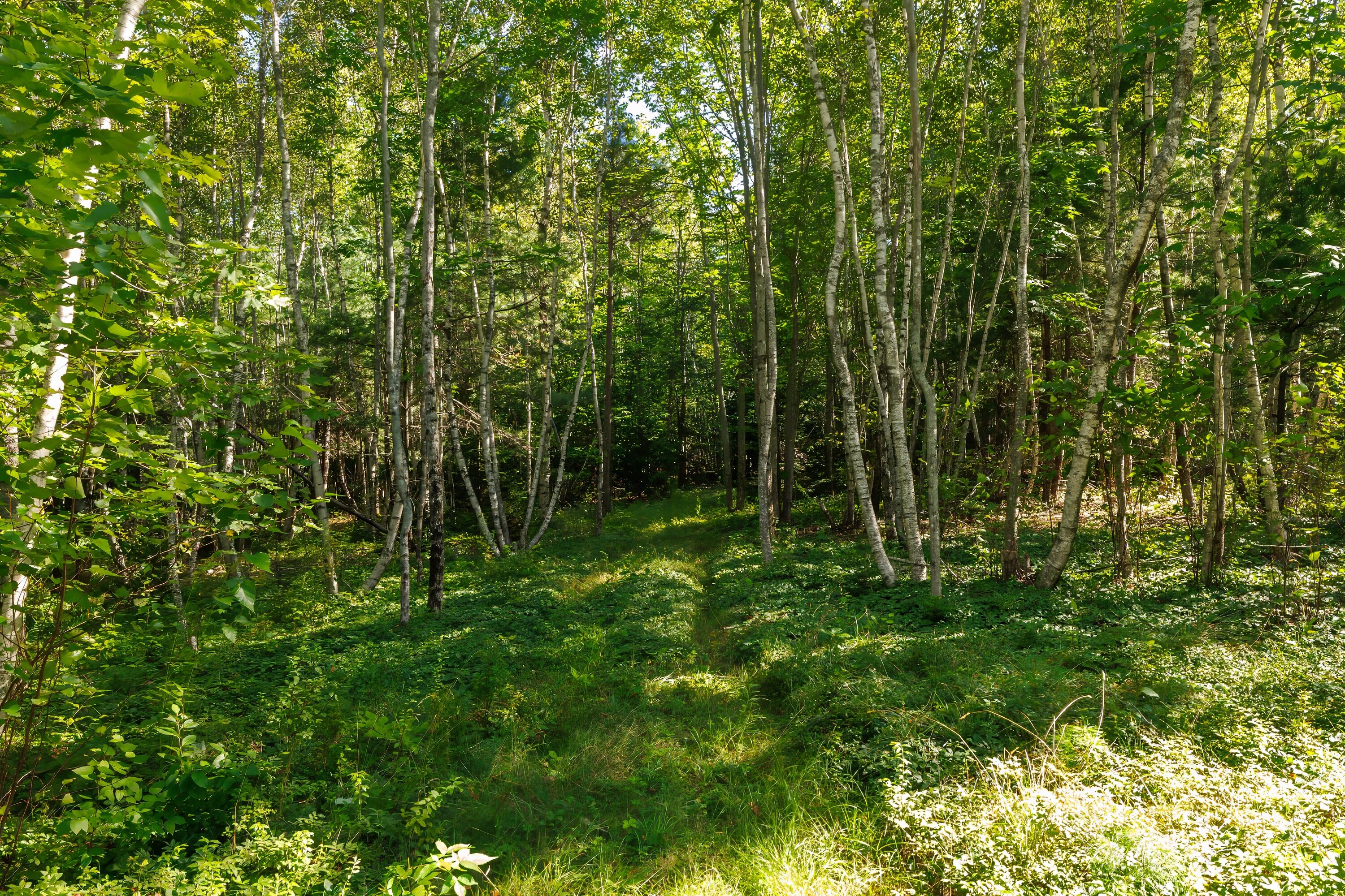 235 Nicolin Road Ellsworth, ME 04605 - Photo 55 of 78 57-235 Nicolin Road HiRes-DTP