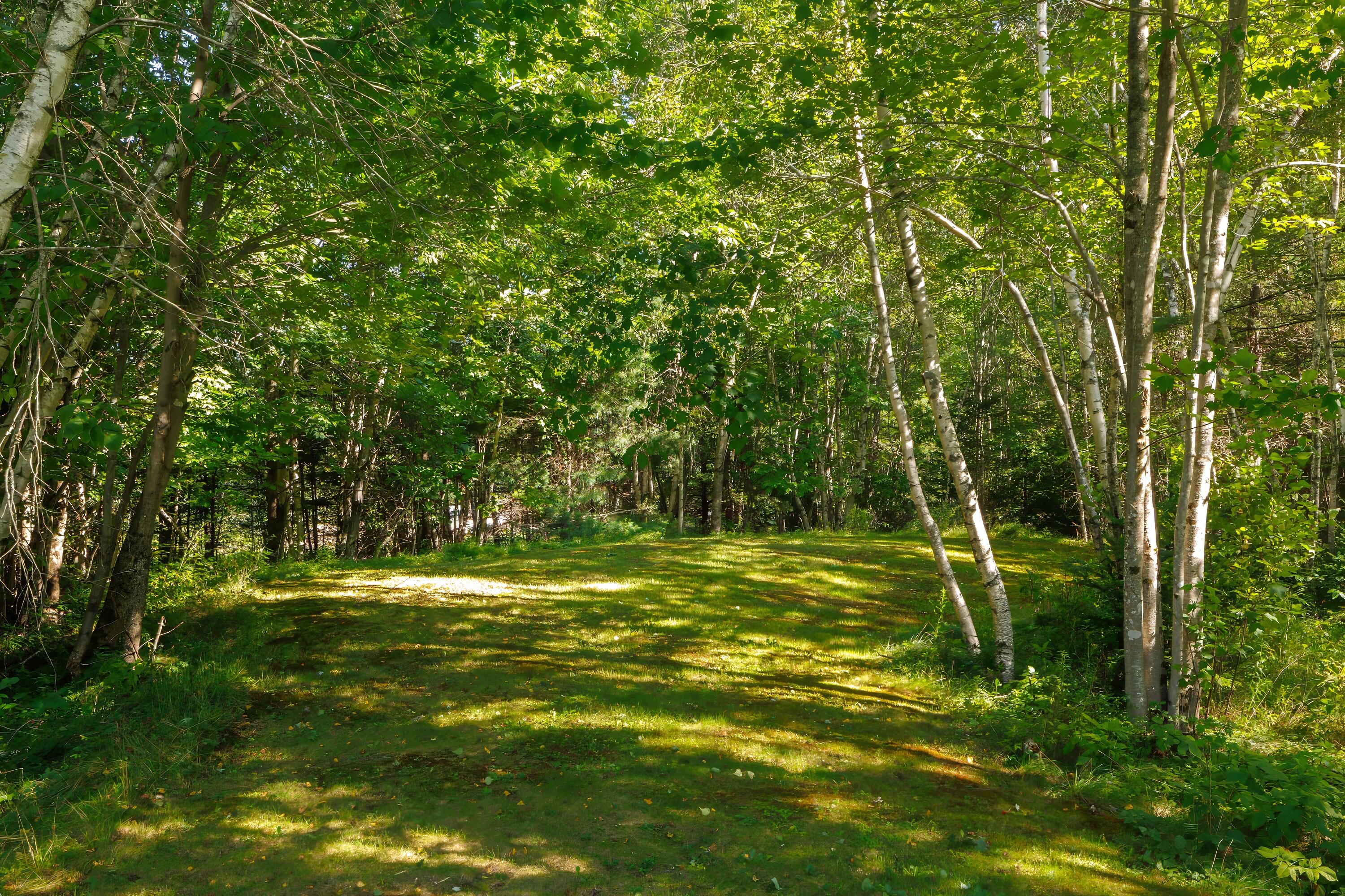 235 Nicolin Road Ellsworth, ME 04605 - Photo 56 of 78 58-235 Nicolin Road HiRes-DTP