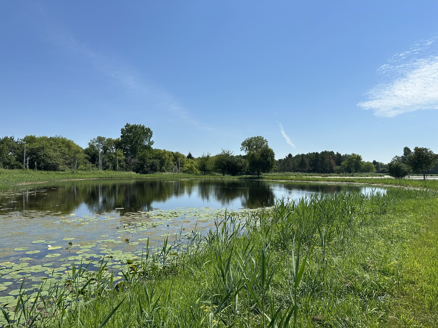 17310 Lincoln Road Harvard, IL 60033 - Photo 27 of 51