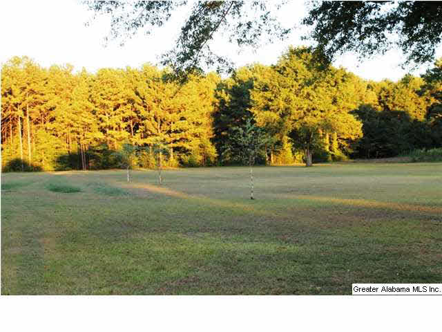 101 Oxmoore Road Oxford, AL 36203 - Photo 32 of 32