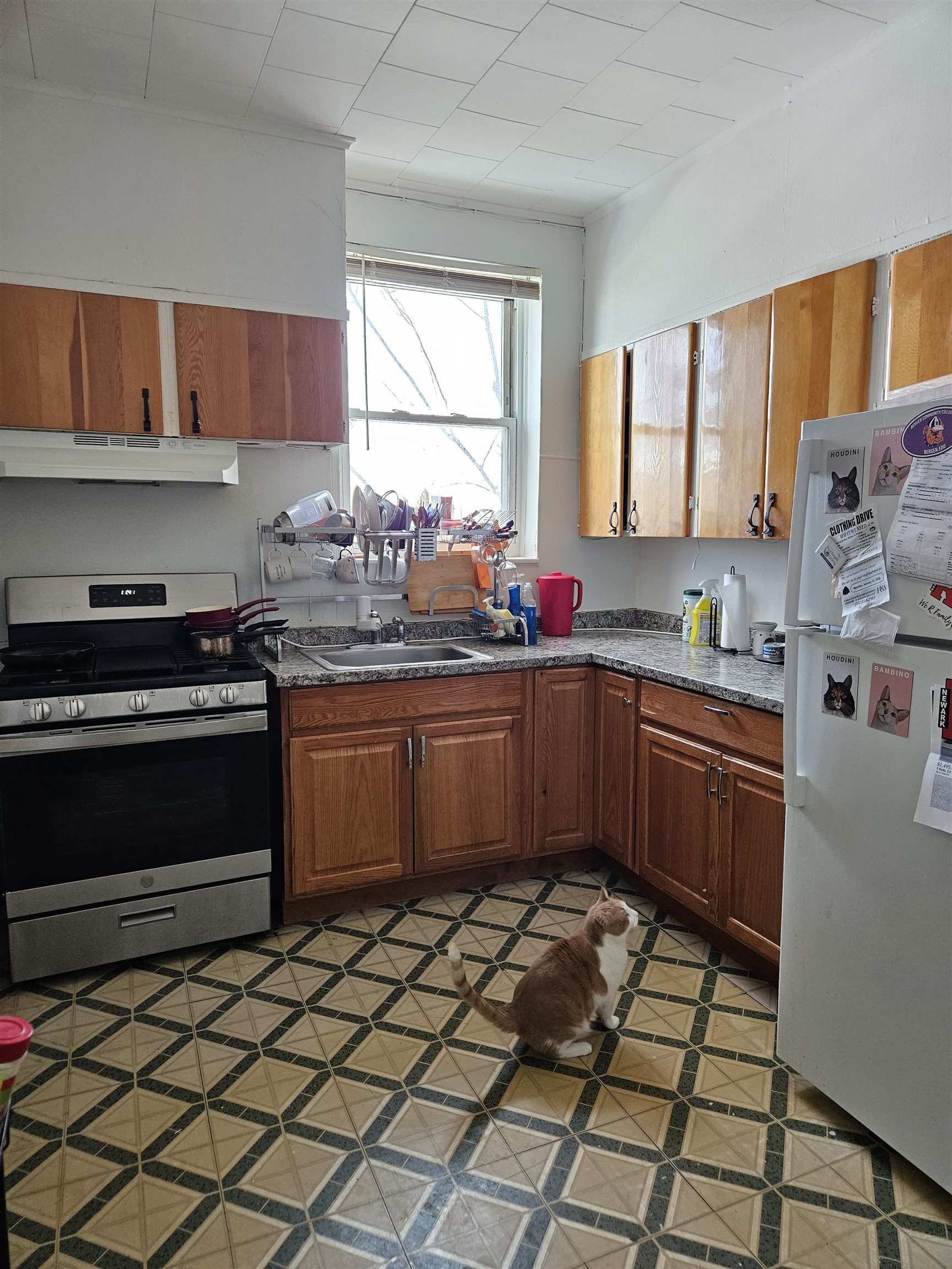 155 Front Street, Unit 3 Secaucus, NJ 07094 - Photo 3 of 27 a kitchen with stainless steel appliances a stove a sink a window and cabinets
