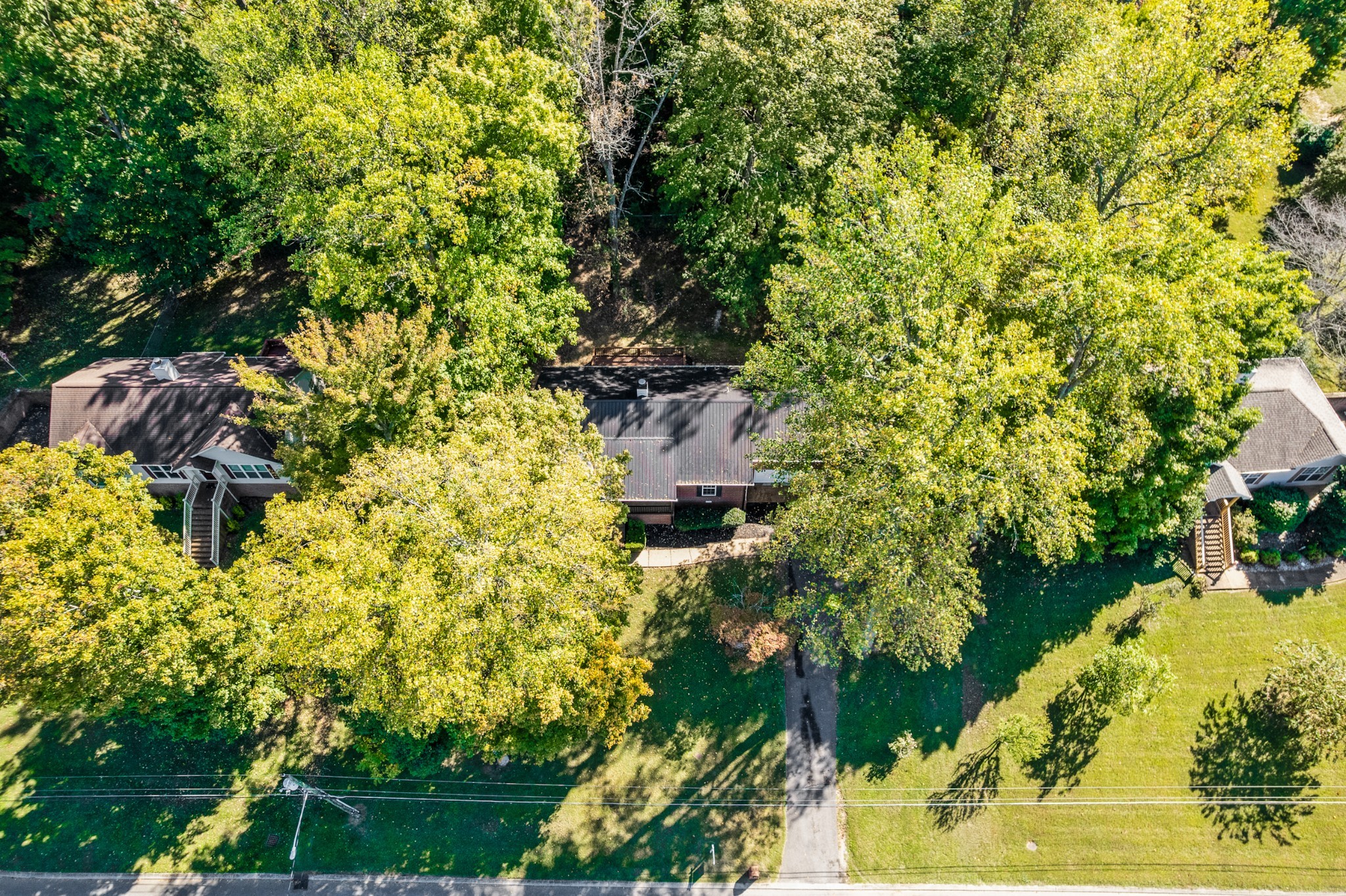 812 Hunters Crossing Lane Springfield, TN 37172 - Photo 38 of 39 a picture of flowers