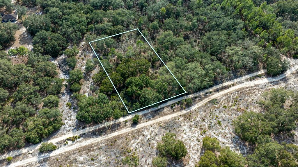 a view of a forest from a balcony
