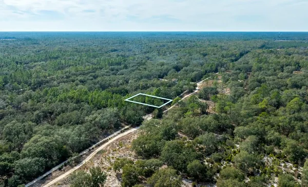 an aerial view of mountain with trees