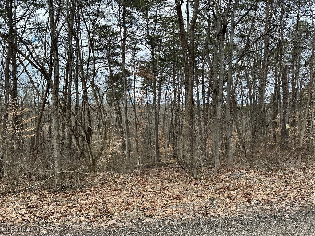 0 Fisher Ridge Road Fleming, OH 45729 - Photo 4 of 7 View from road