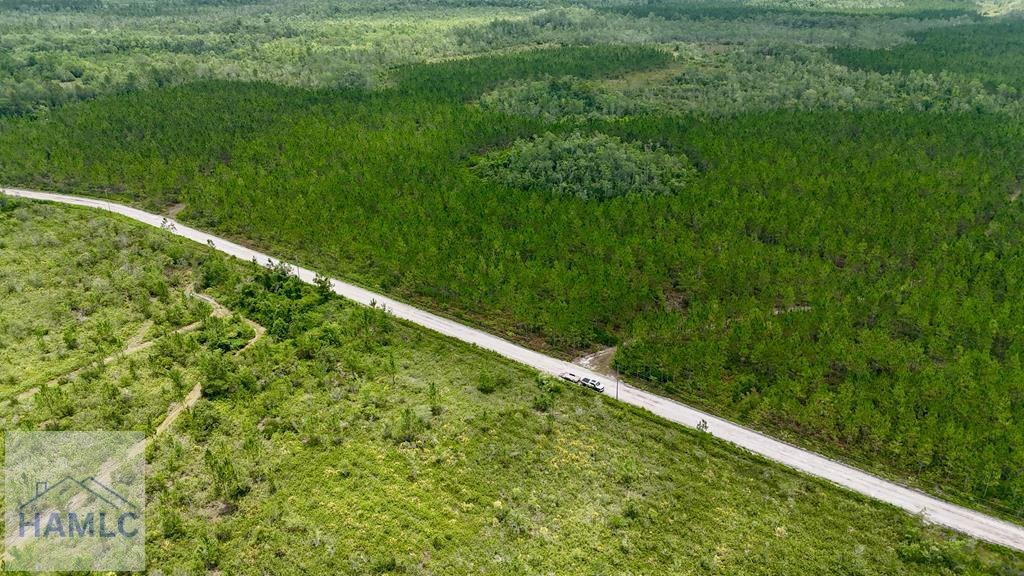 0 Fire Tower Road Manor, GA 31550 - Photo 1 of 6 Gallery Image 1