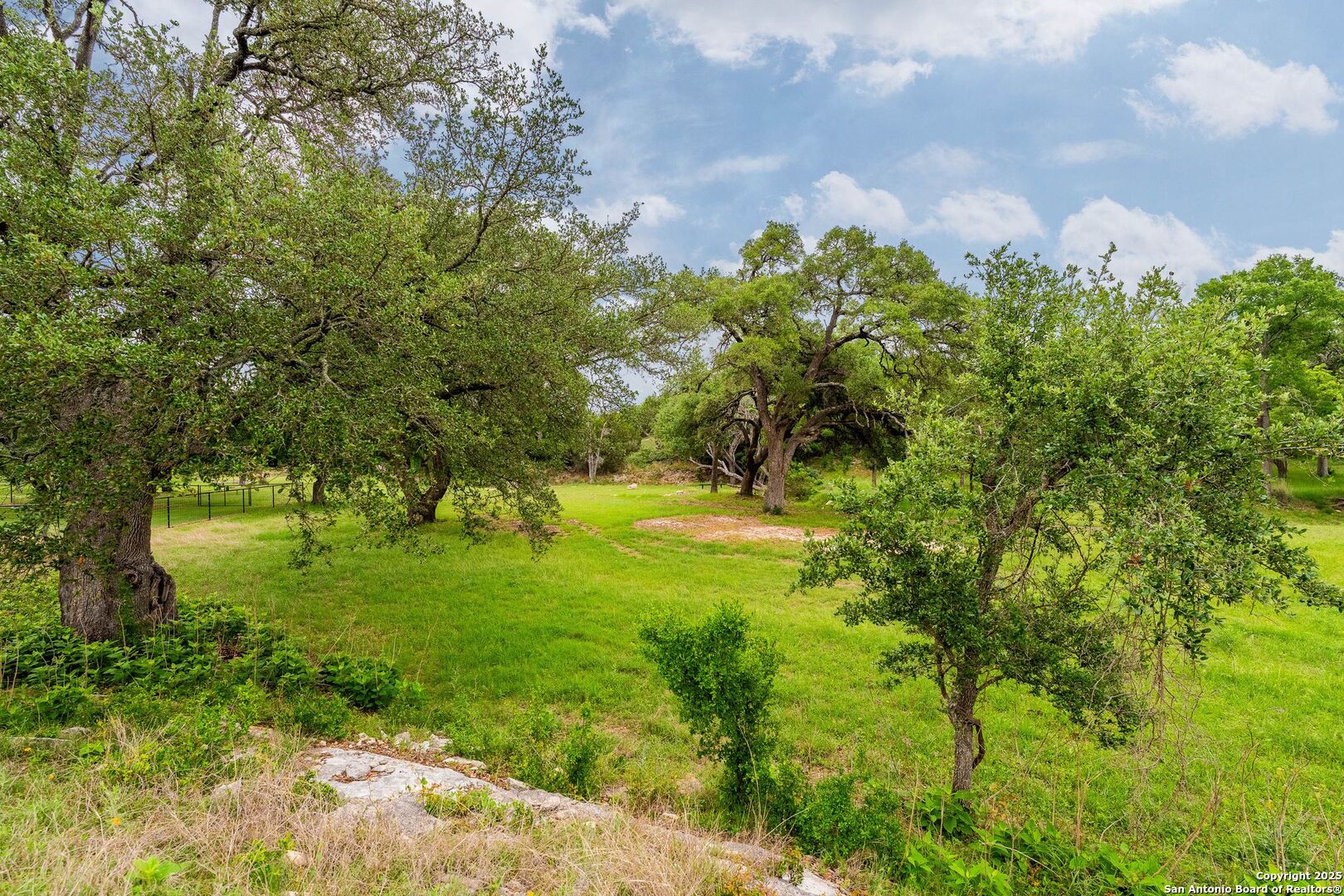 107 Nicholas Weeks Blanco, TX 78606 - Photo 3 of 22