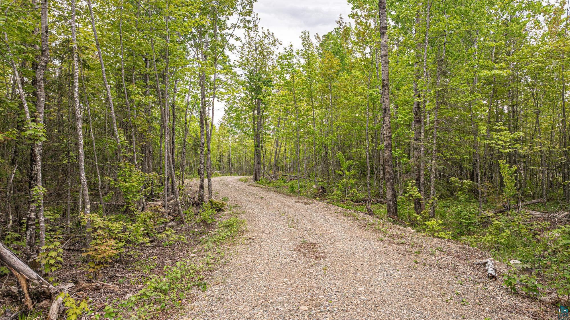 2148 Haapala Road Ely, MN 55731 - Photo 6 of 46