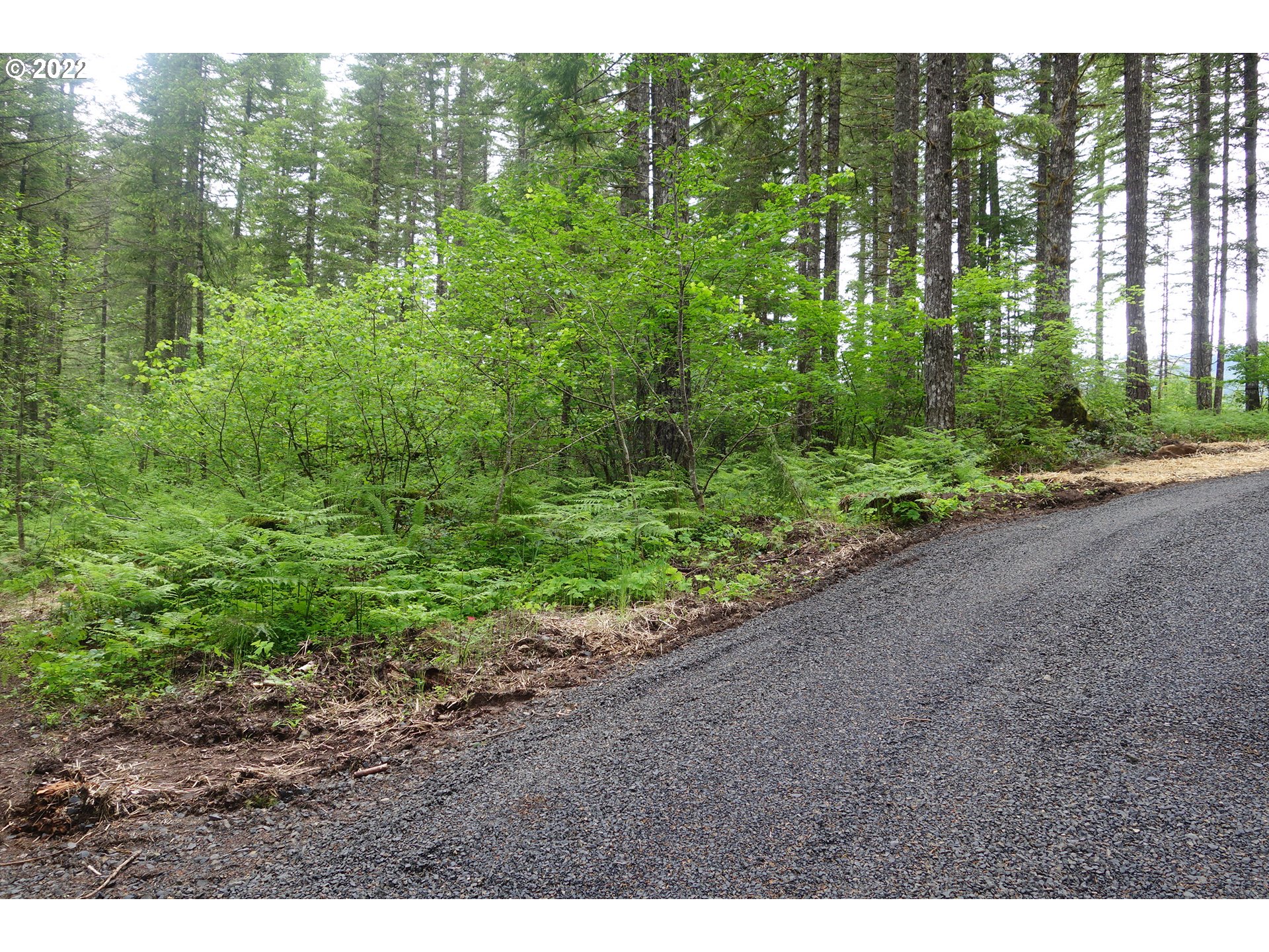 105 Hemlock Road Carson, WA 98610 - Photo 1 of 11