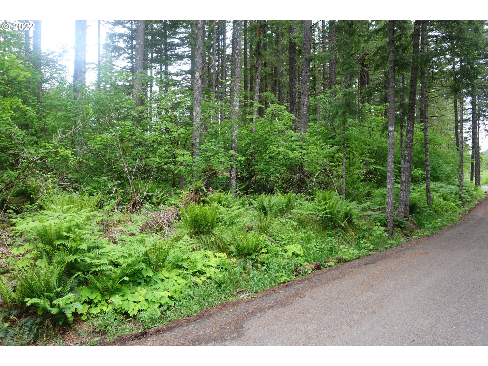 105 Hemlock Road Carson, WA 98610 - Photo 2 of 11