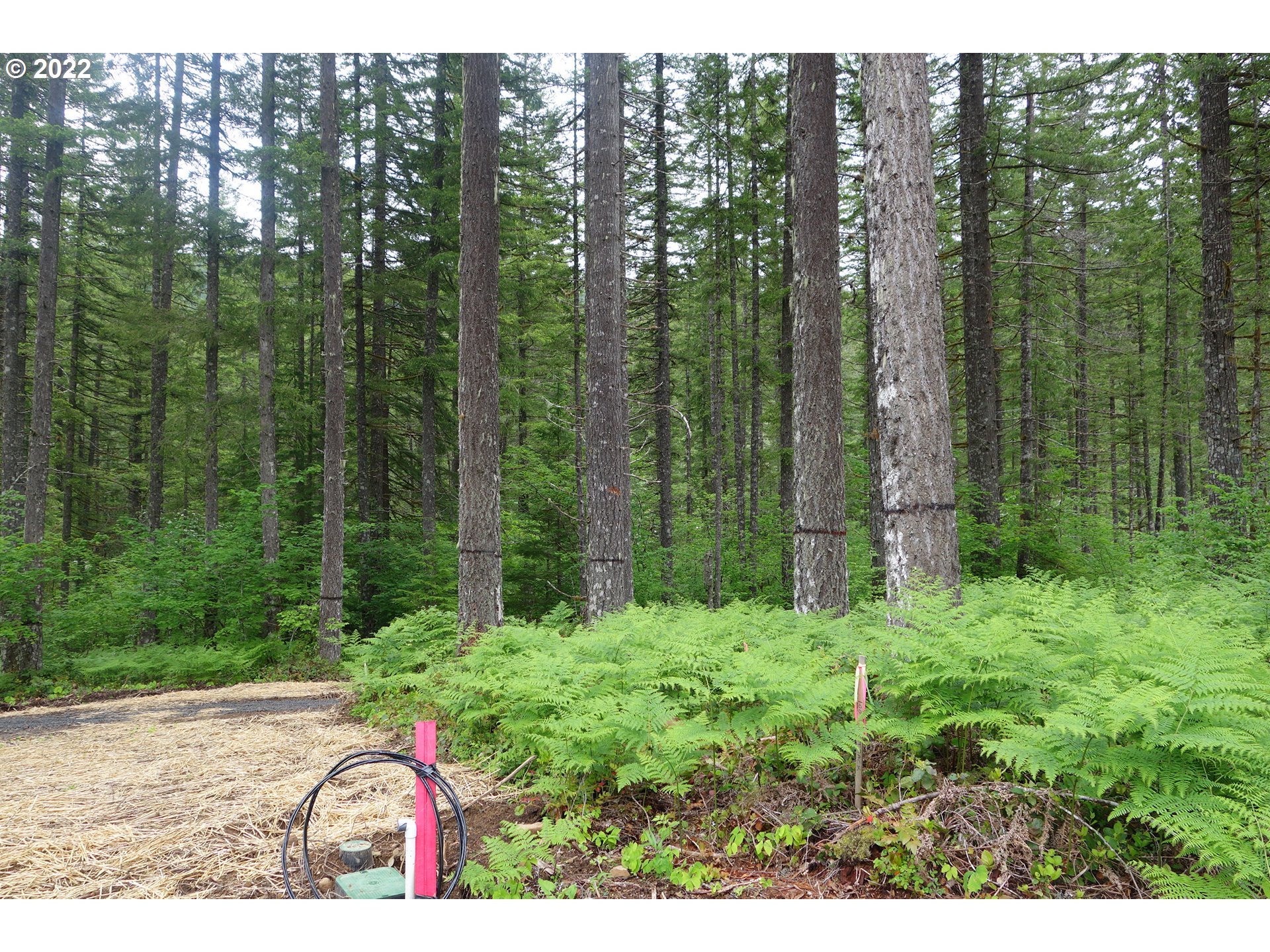 105 Hemlock Road Carson, WA 98610 - Photo 3 of 11