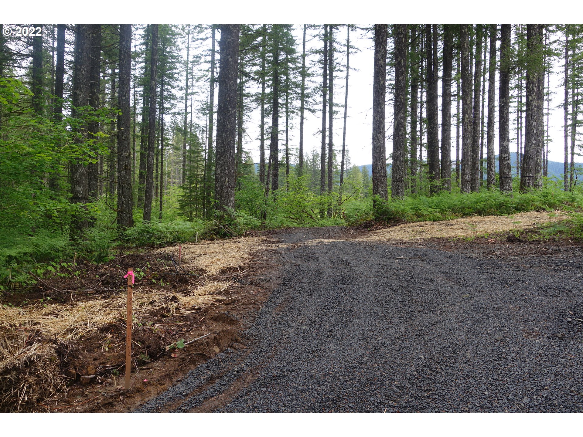 105 Hemlock Road Carson, WA 98610 - Photo 5 of 11