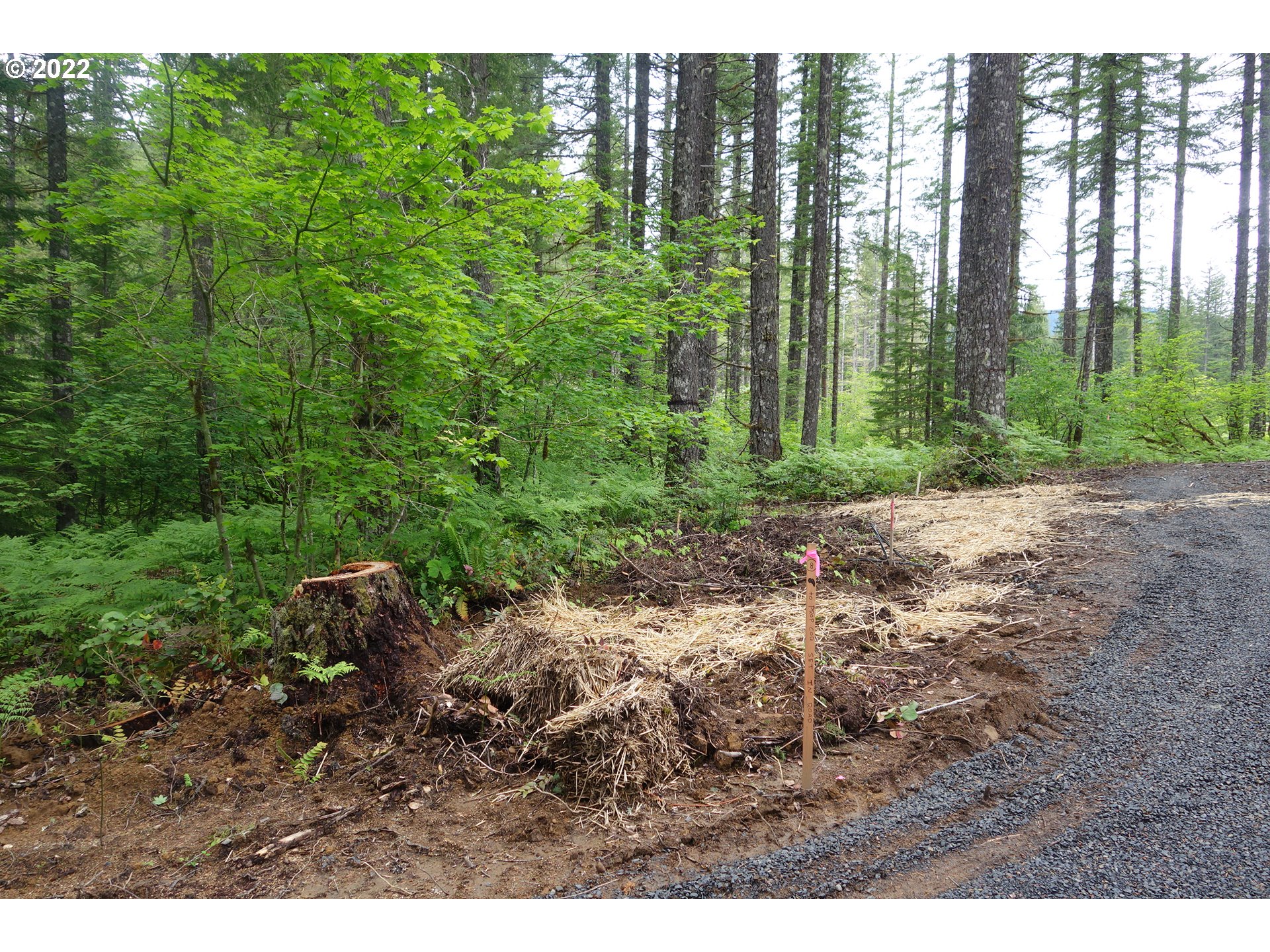 105 Hemlock Road Carson, WA 98610 - Photo 6 of 11