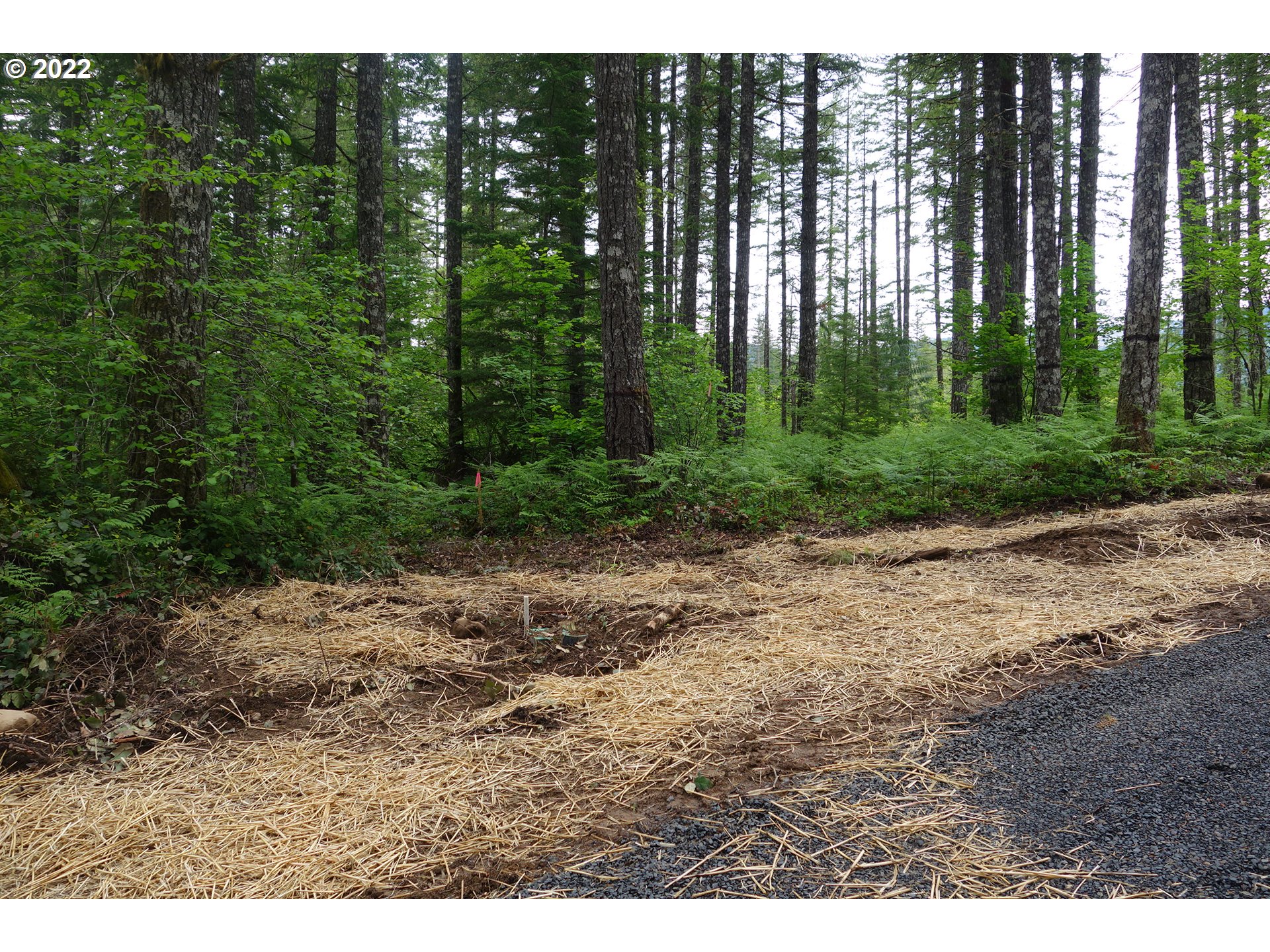 105 Hemlock Road Carson, WA 98610 - Photo 7 of 11