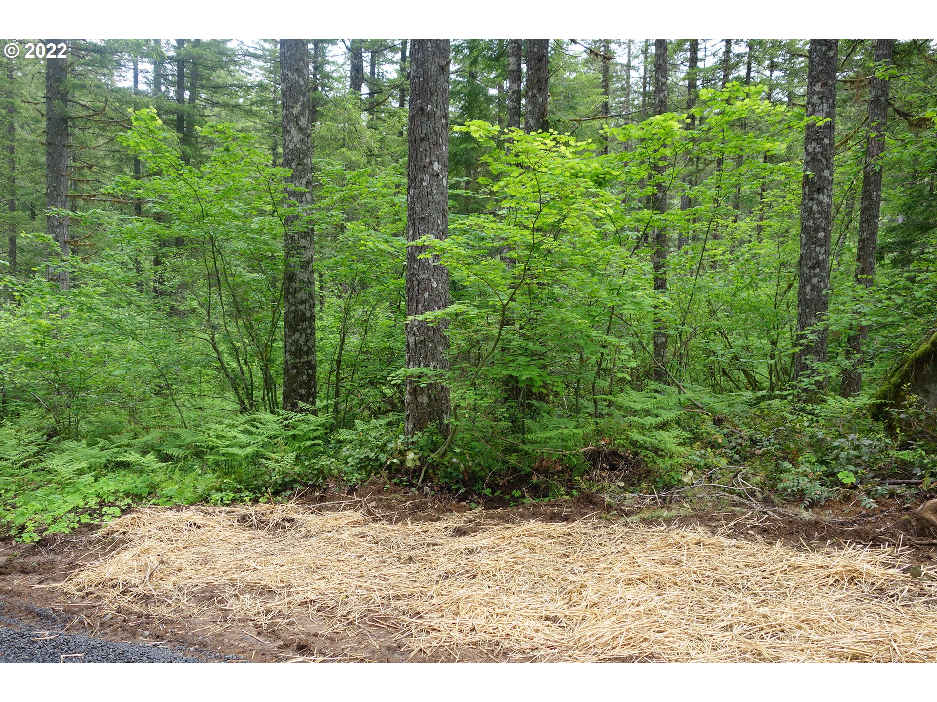 105 Hemlock Road Carson, WA 98610 - Photo 8 of 11