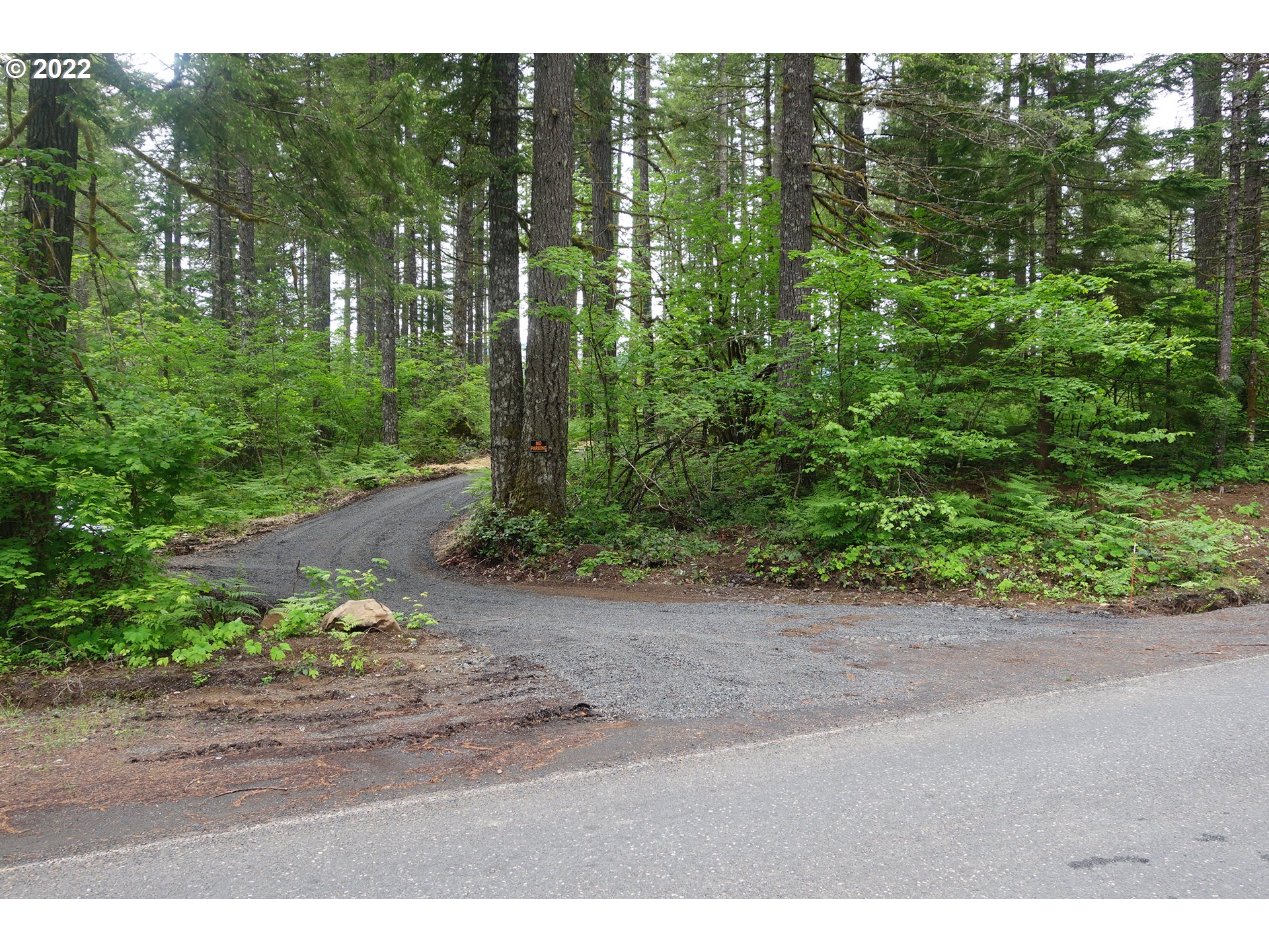 105 Hemlock Road Carson, WA 98610 - Photo 10 of 11