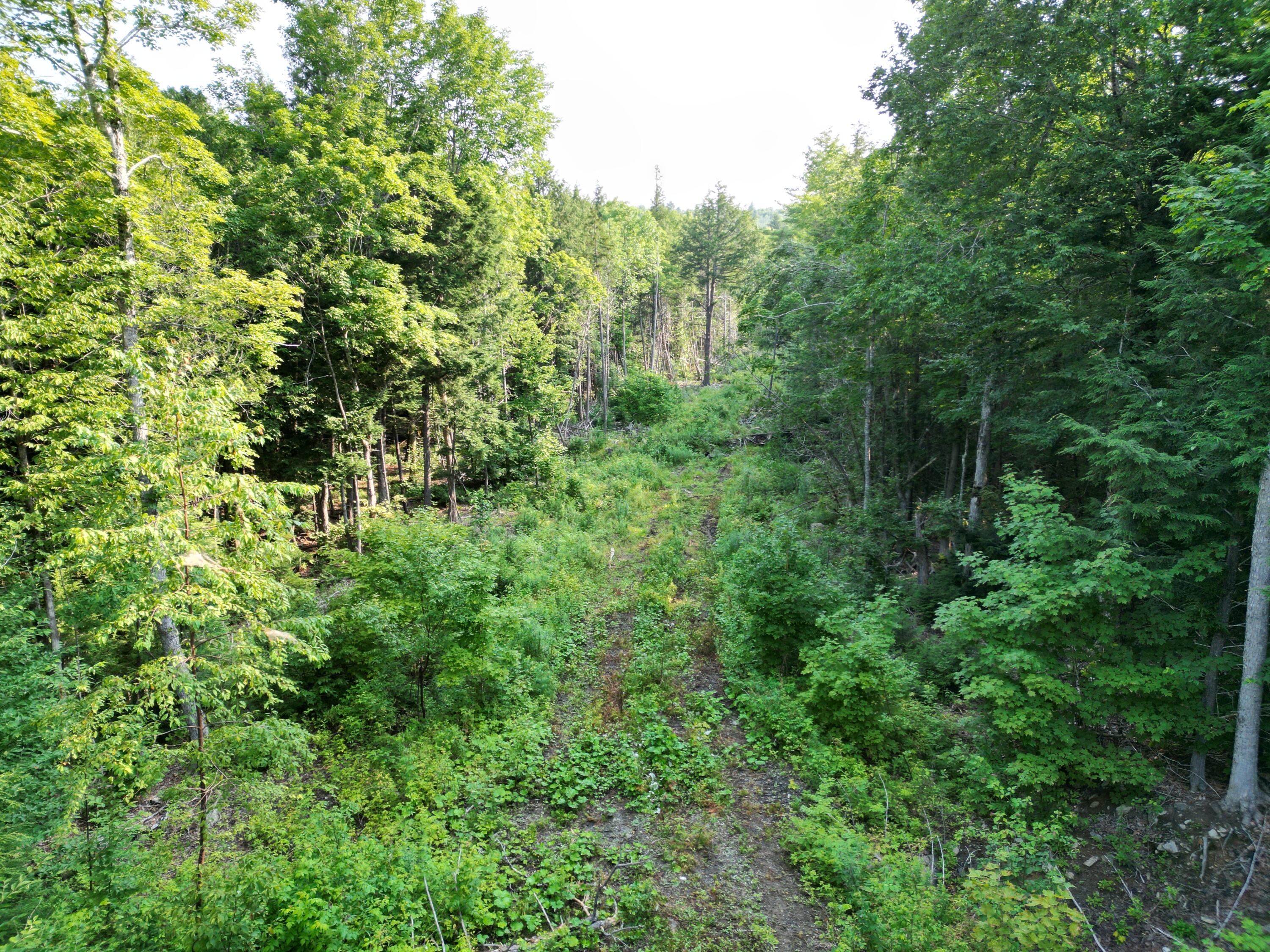 Lot 33-4 West Road Springfield, ME 04487 - Photo 3 of 17 DJI_0982