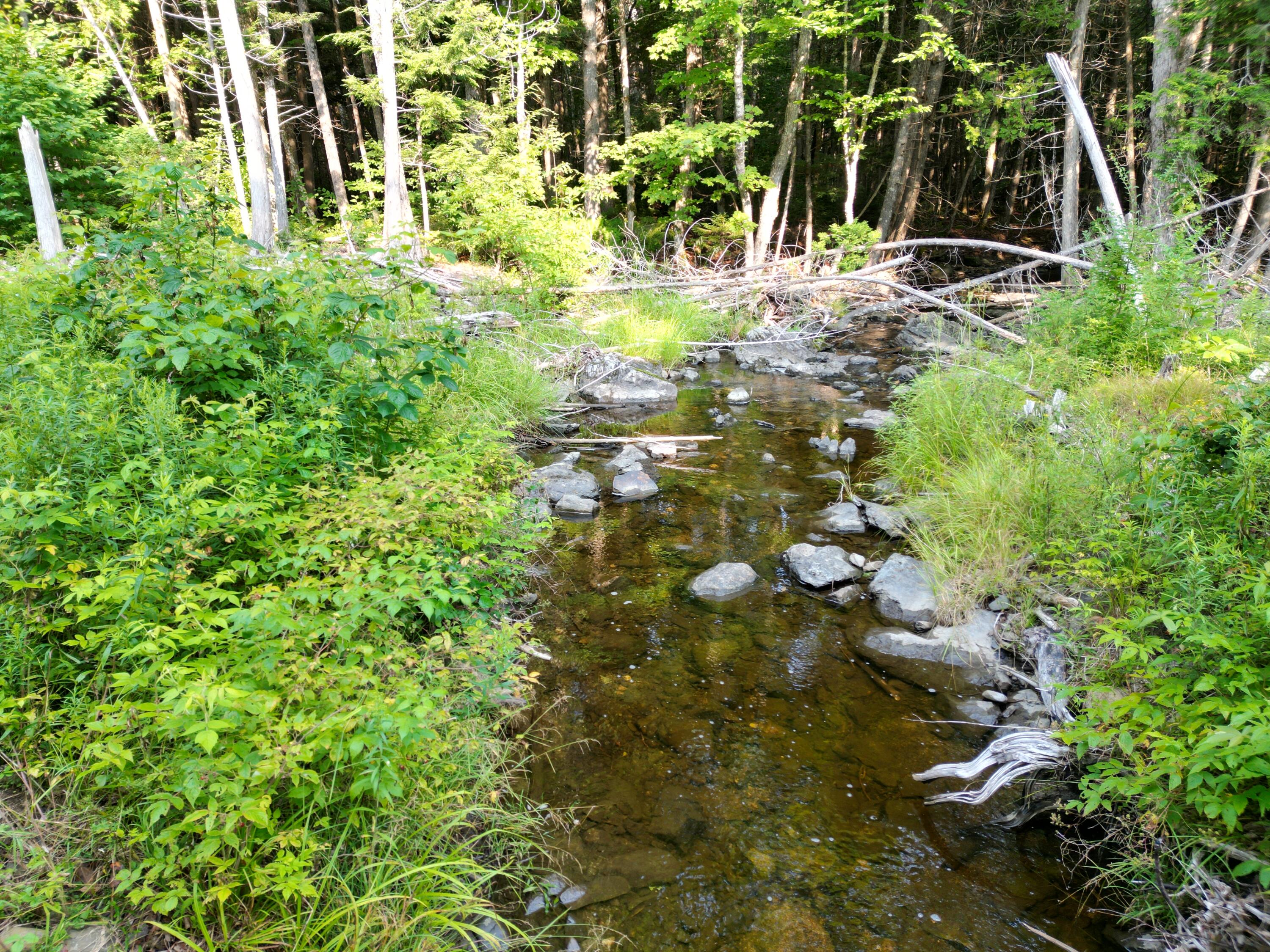 Lot 33-4 West Road Springfield, ME 04487 - Photo 6 of 17 DJI_0985