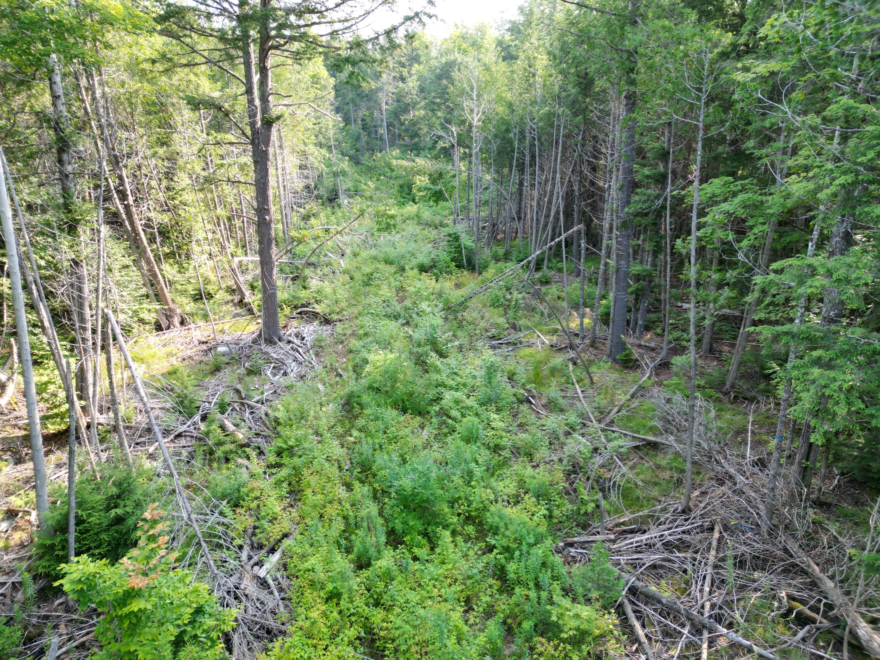 Lot 33-4 West Road Springfield, ME 04487 - Photo 8 of 17 DJI_0988