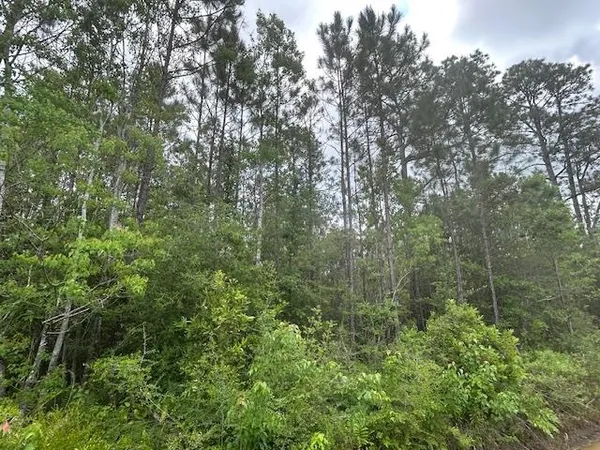 $39,900 | Xx North 15th Avenue, Milton, FL 32583