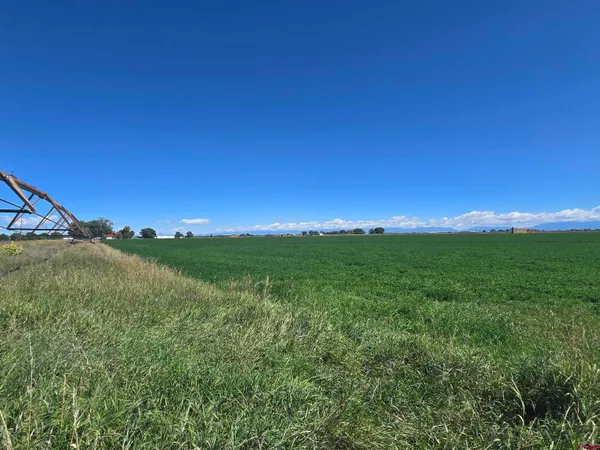a view of a lush green space with sea