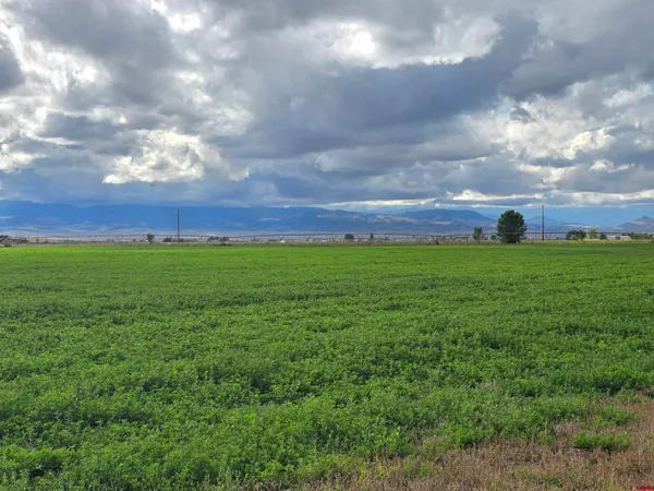 a view of a big yard with a house