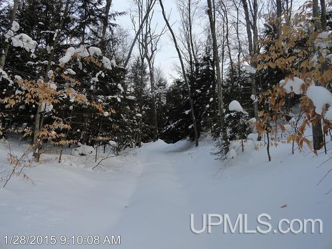 14392 N Crooked Lake Road Shingleton, MI 49884 - Photo 15 of 34