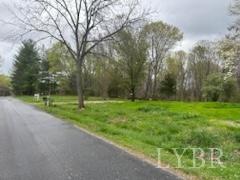 215 Spicer Road Lynchburg, VA 24504 - Photo 5 of 35 a view of outdoor space