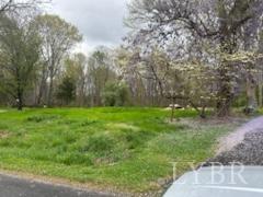 215 Spicer Road Lynchburg, VA 24504 - Photo 6 of 35 a view of a yard with a tree