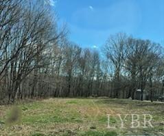 215 Spicer Road Lynchburg, VA 24504 - Photo 10 of 35 a view of a backyard
