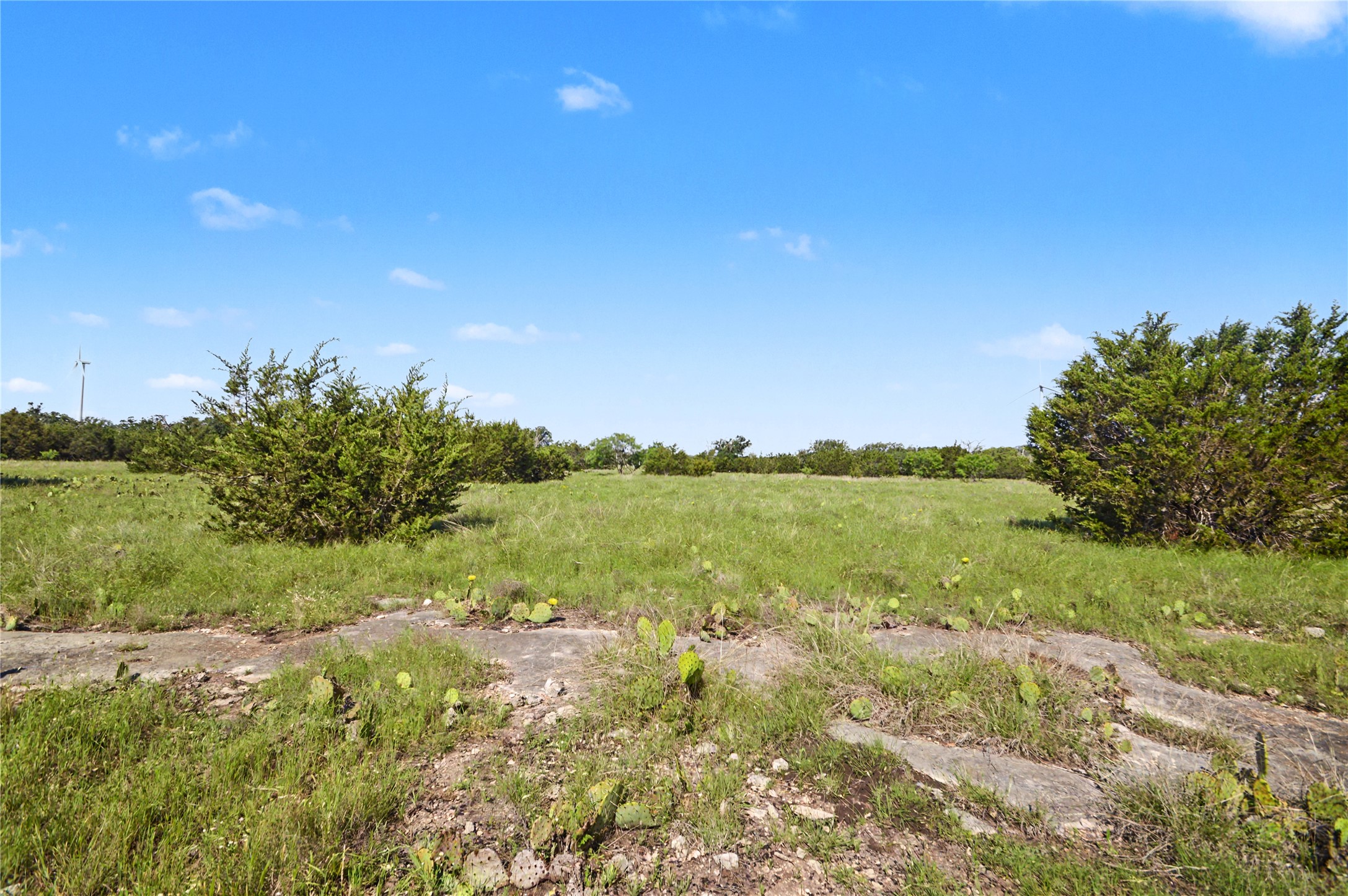 0 Cr 318 Road Goldthwaite, TX 76844 - Photo 9 of 37 a view of a green field with lots of bushes