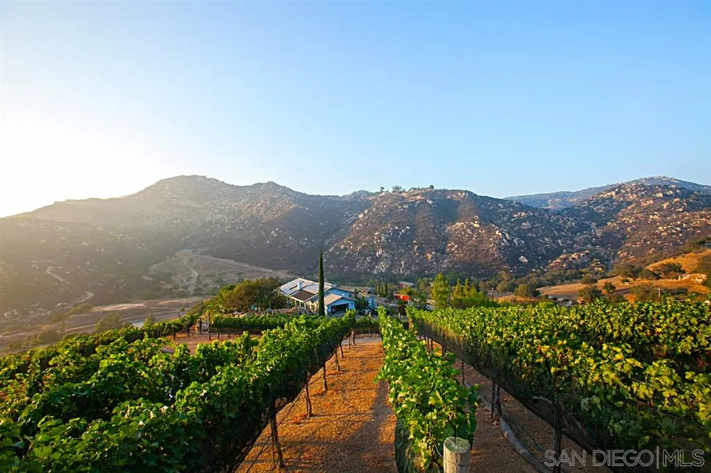 16987 Lyons Valley Road Jamul, CA 91935 - Photo 3 of 25 a view of mountains and valleys