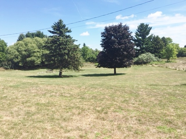 7630 Olive Road Elwell, MI 48832 - Photo 25 of 28 1821978-24.JPG