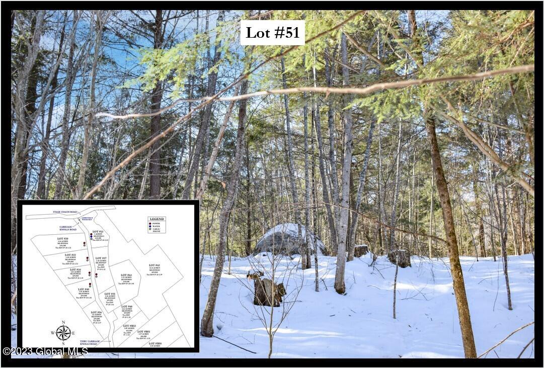 51 Carriage Road Chestertown, NY 12817 - Photo 1 of 17 Cover Framed Lot #51