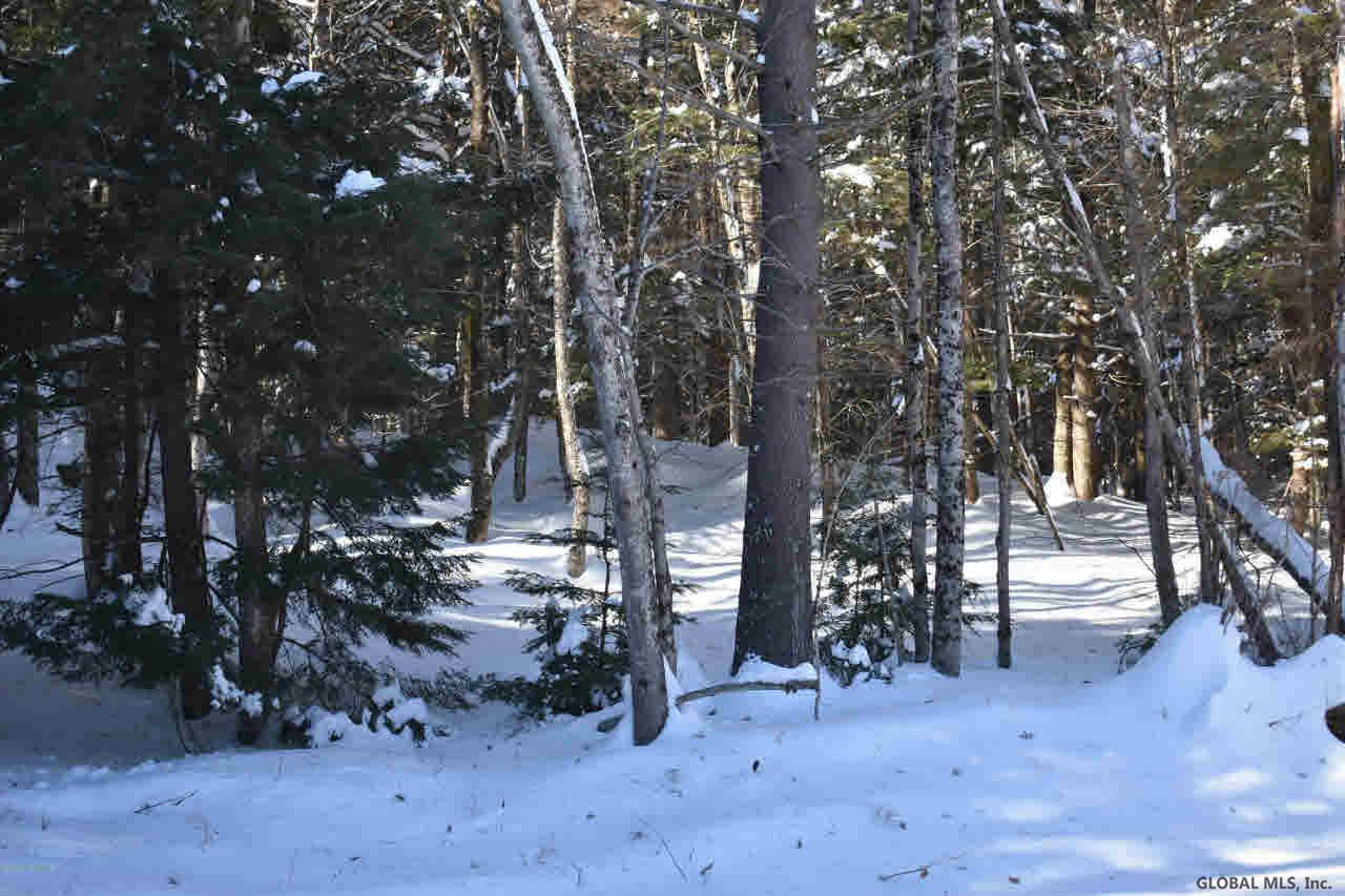 51 Carriage Road Chestertown, NY 12817 - Photo 11 of 17 Photo 11