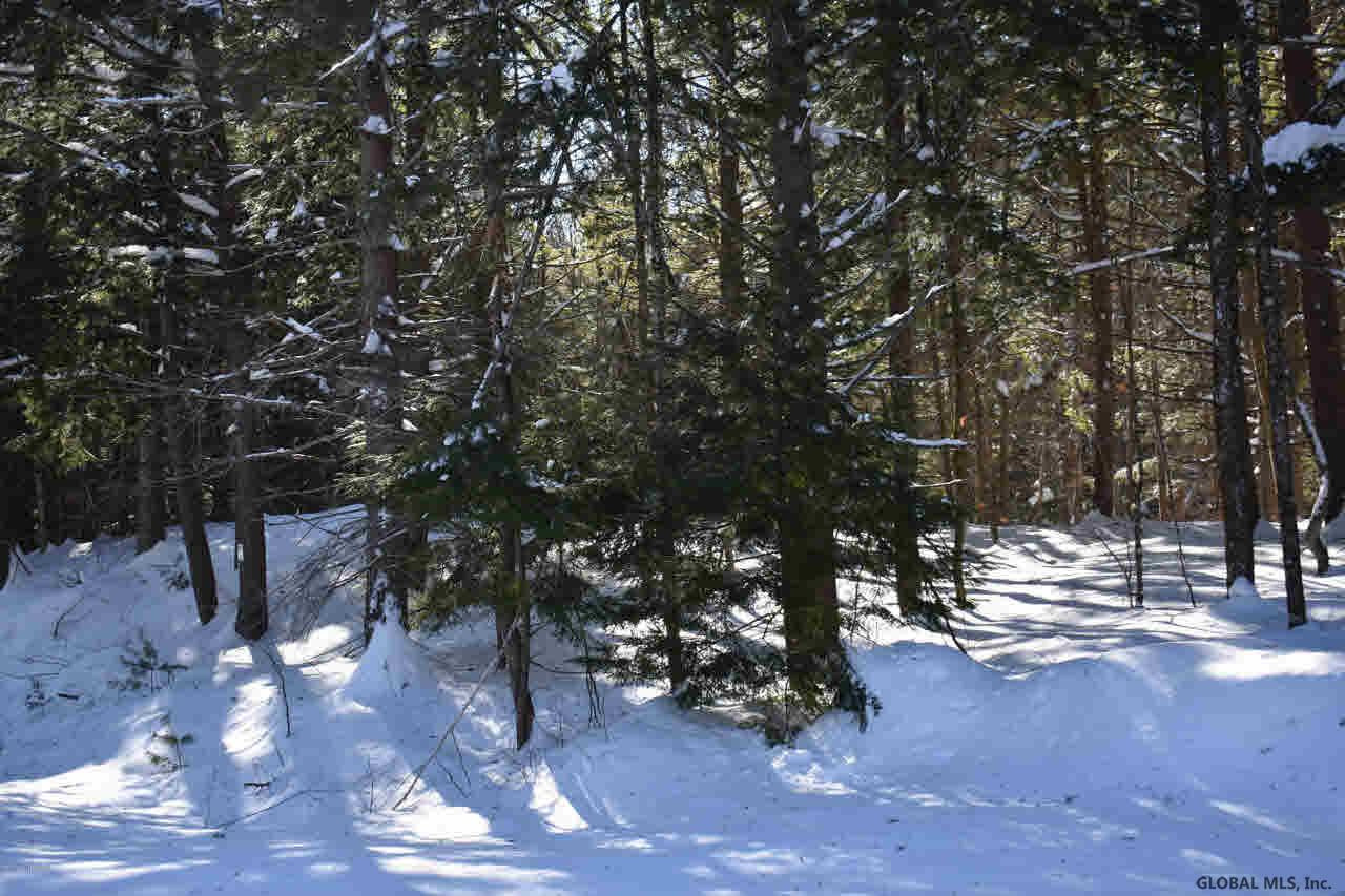 51 Carriage Road Chestertown, NY 12817 - Photo 13 of 17 Photo 13