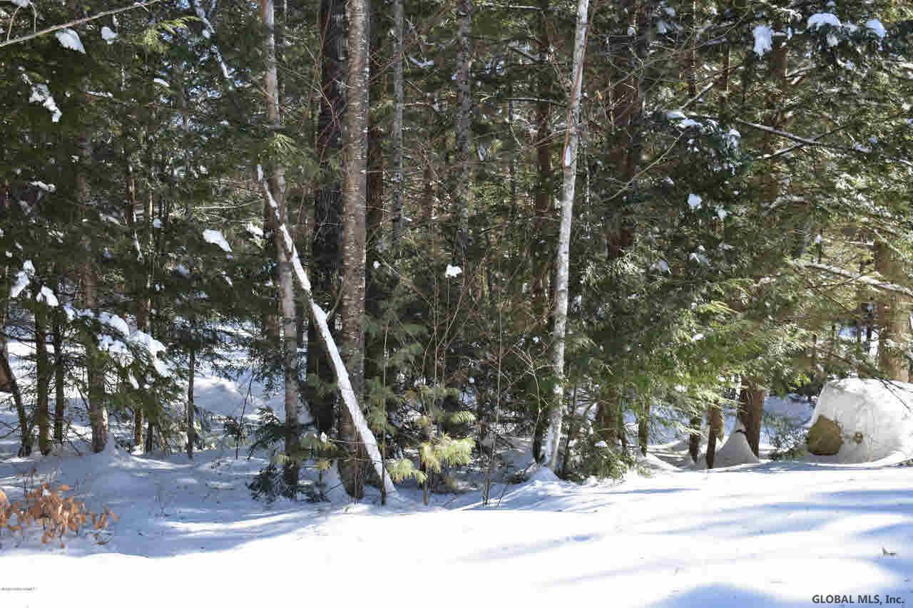 51 Carriage Road Chestertown, NY 12817 - Photo 14 of 17 Photo 14