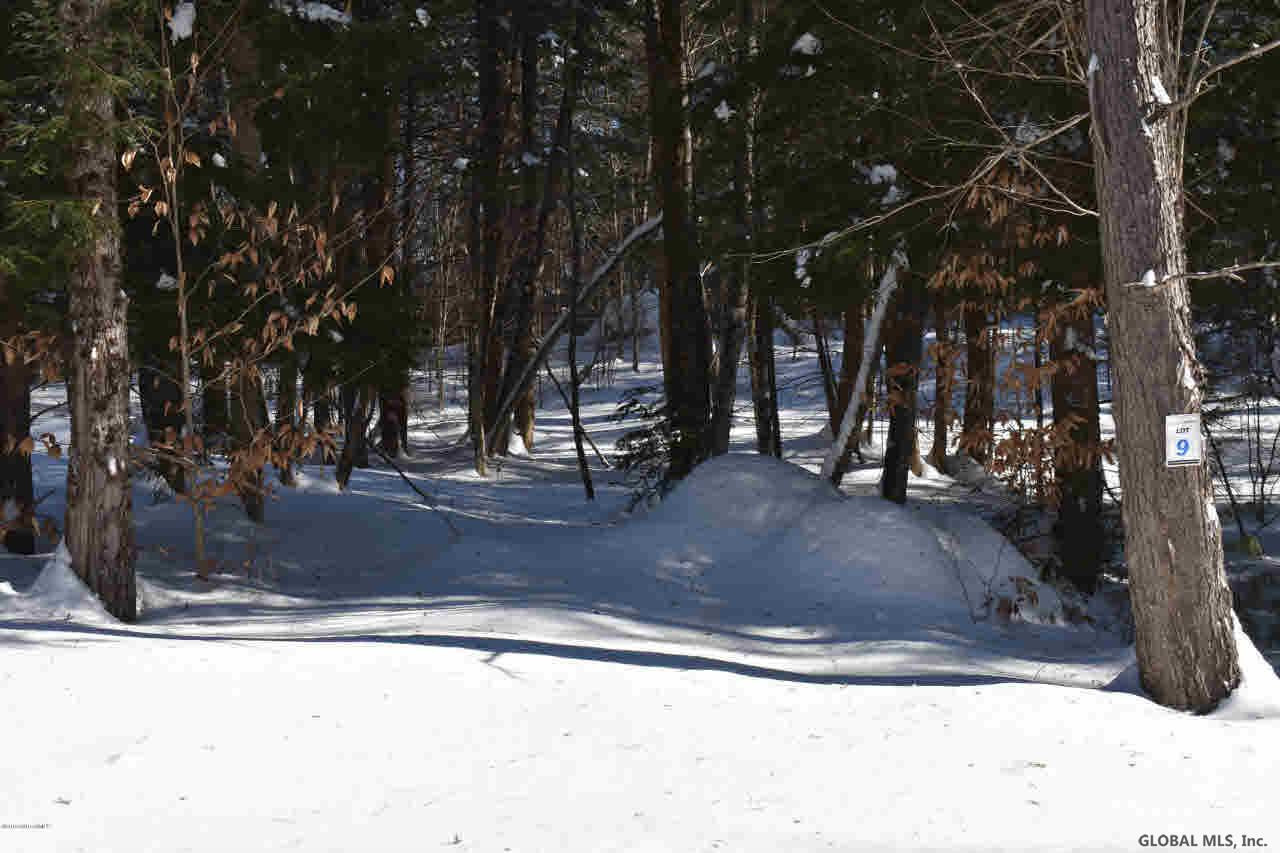 51 Carriage Road Chestertown, NY 12817 - Photo 15 of 17 Photo 15