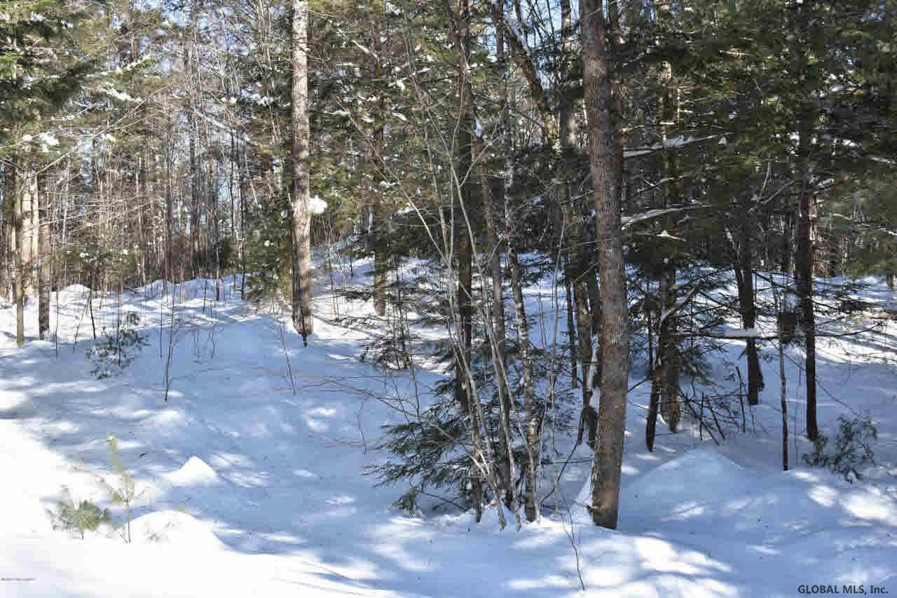 51 Carriage Road Chestertown, NY 12817 - Photo 16 of 17 Photo 16