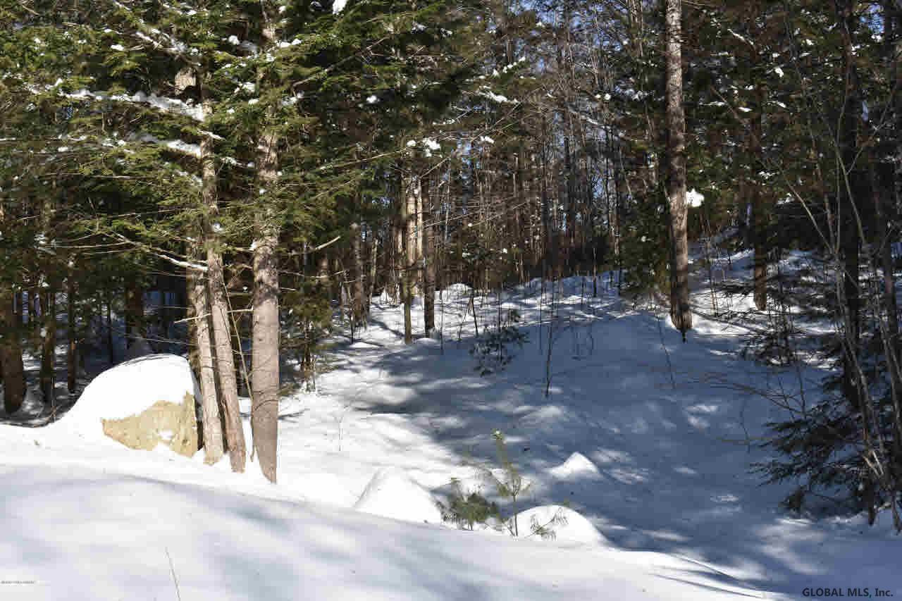 51 Carriage Road Chestertown, NY 12817 - Photo 17 of 17 Photo 17