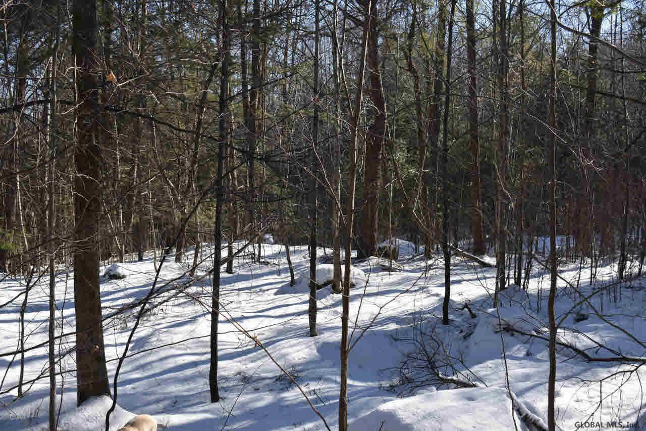 51 Carriage Road Chestertown, NY 12817 - Photo 6 of 17 Photo 6
