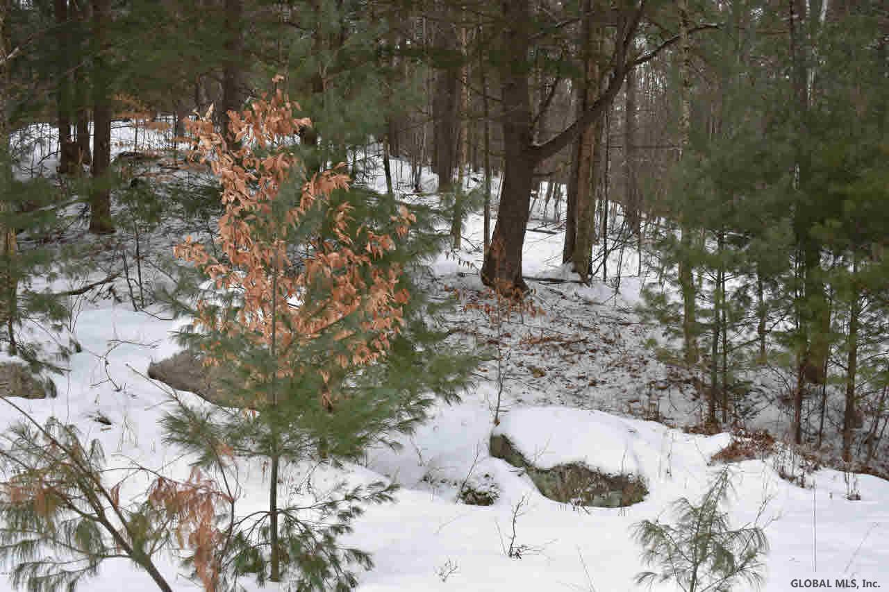 51 Carriage Road Chestertown, NY 12817 - Photo 7 of 17 Photo 7