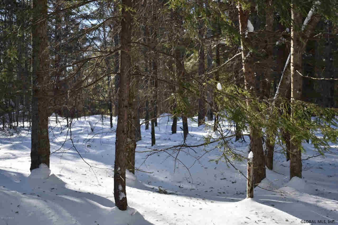 51 Carriage Road Chestertown, NY 12817 - Photo 8 of 17 Photo 8