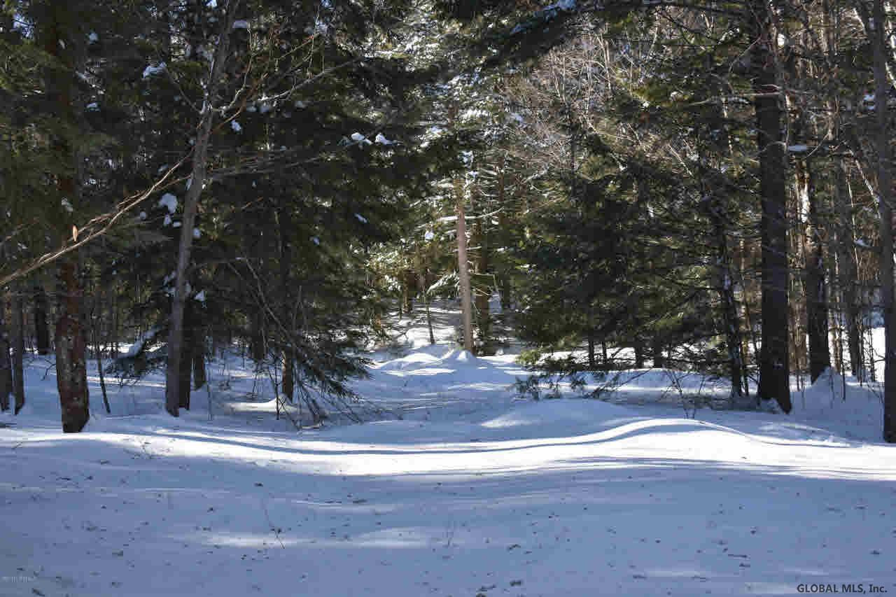 51 Carriage Road Chestertown, NY 12817 - Photo 9 of 17 Photo 9