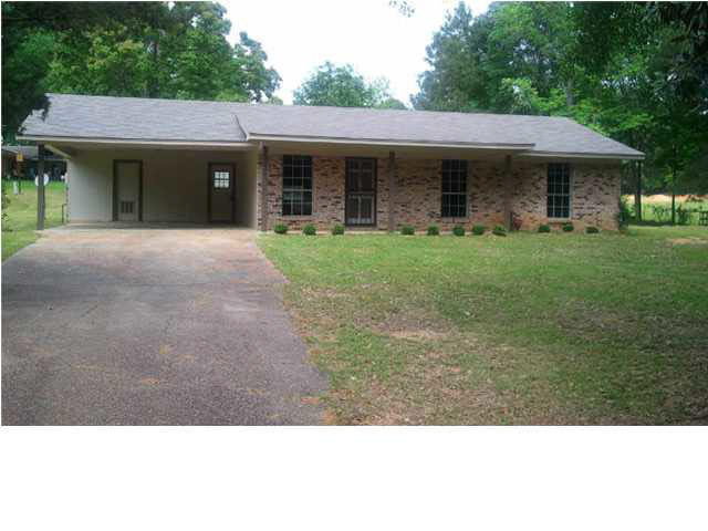 215 Burnham Road South Puckett, MS 39042 - Photo 1 of 15 Photo 1
