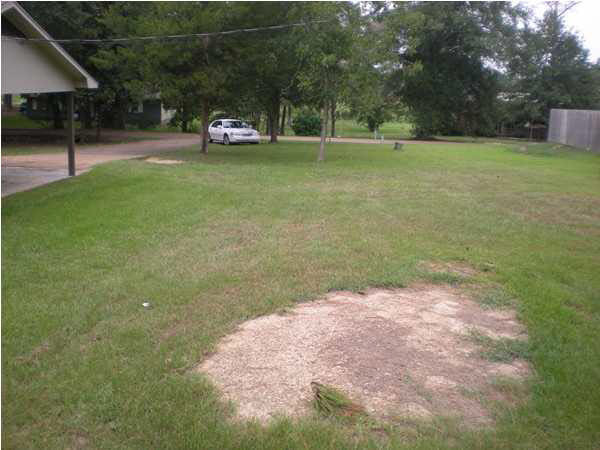 215 Burnham Road South Puckett, MS 39042 - Photo 13 of 15 Photo 13