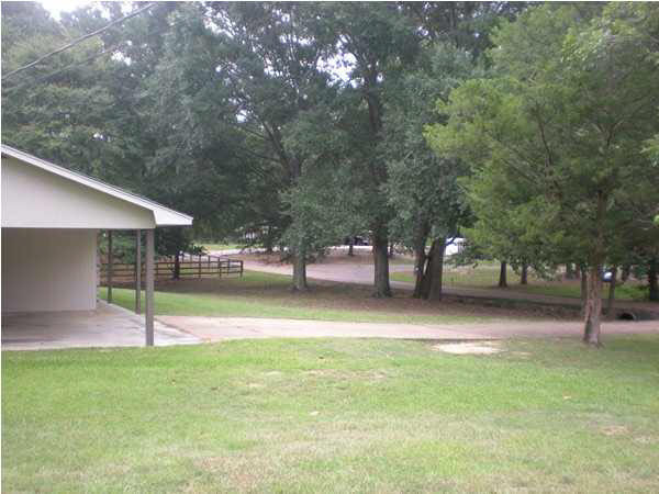 215 Burnham Road South Puckett, MS 39042 - Photo 3 of 15 Photo 3